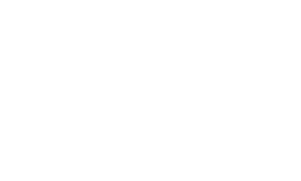 3 Carlsonlawgroup Primary White