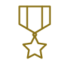 Carlsonlaw Veterans Defense Icon